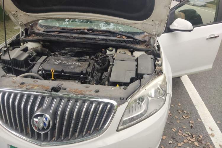 Used Buick GT 2010 GT 1.6L Manual Entry-Level Model Engine Bay Left