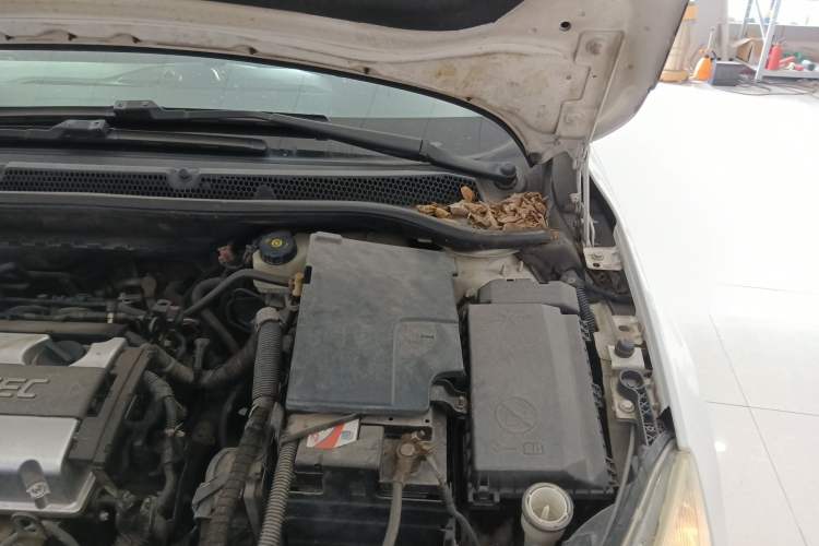 Used Buick GT 2010 XT 1.8L Automatic Fashion Edition Engine Bay Left