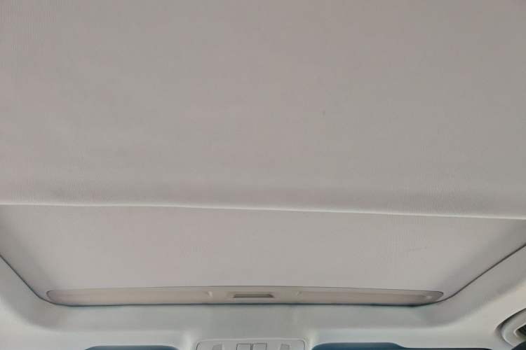 Used Buick GT 2010 GT 1.6T Fashion Sport Edition Headliner
