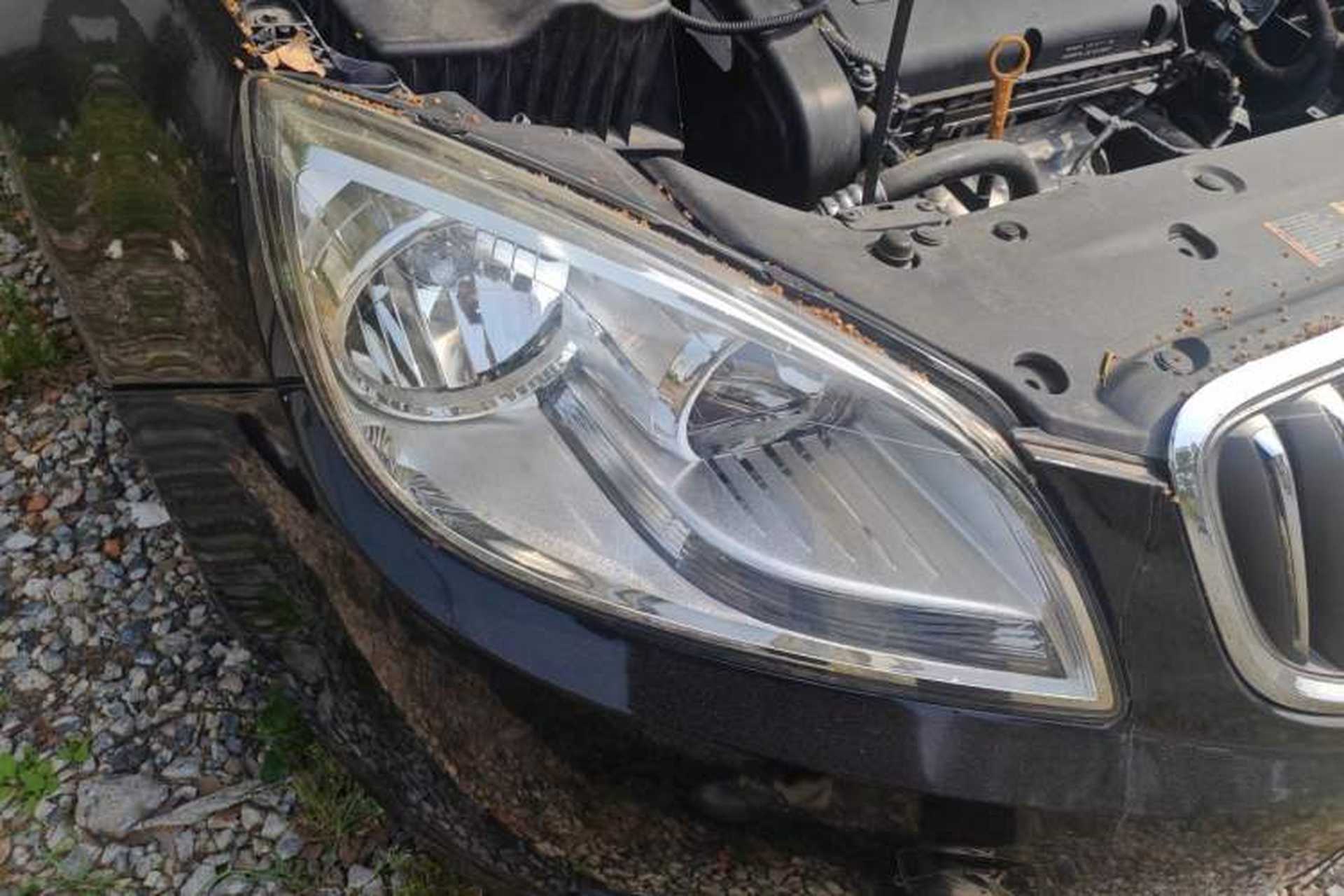 Used Buick GT 2012 GT 1.6L Manual Entry-Level Model Right Front Headlight