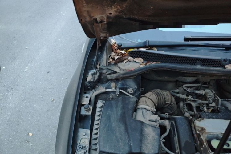 Used Buick GT 2013 GT 1.6L Manual Entry-Level Model Engine Bay Right