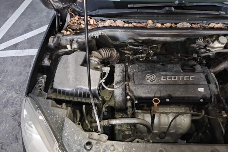 Used Buick GT 2013 GT 1.6L Automatic Fashion Edition Engine Bay Right