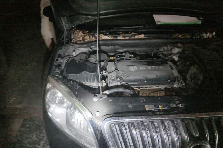 Used Buick GT 2013 GT 1.6L Automatic Fashion Edition Engine Bay Right