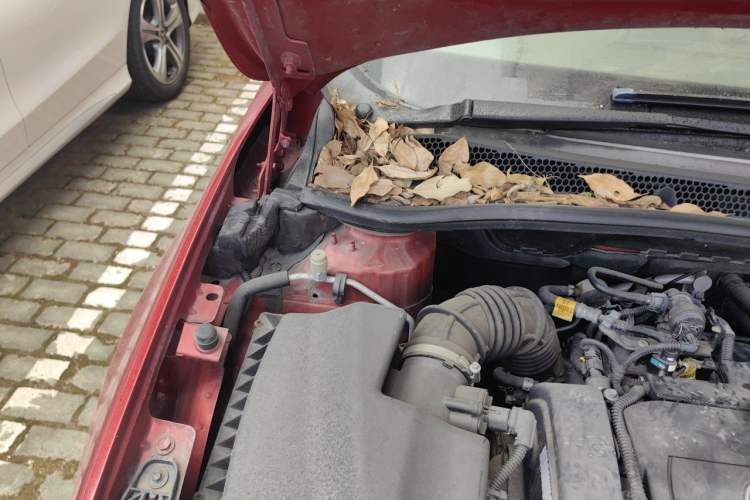 Used Buick GT 2013 GT 1.6L Automatic Fashion Edition Engine Bay Right