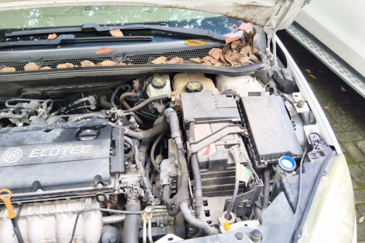 Used Buick GT 2013 GT 1.6L Automatic Fashion Edition Engine Bay Left