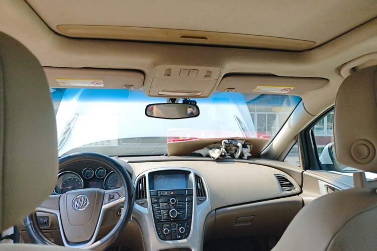 Used Buick GT 2013 GT 1.6L Automatic Fashion Edition Headliner