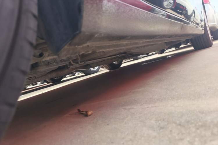 Used Buick GT 2015 15N Manual Elite Edition Chassis Rear Right