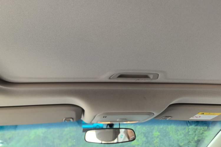 Used Buick GT 2015 15N Manual Elite Edition Headliner
