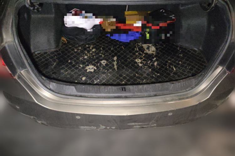 Used Buick GT 2015 15N Automatic Elite Version Trunk