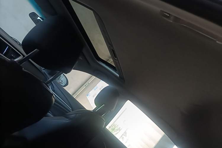 Used Buick GT 2015 15N Automatic Deluxe Edition Headliner