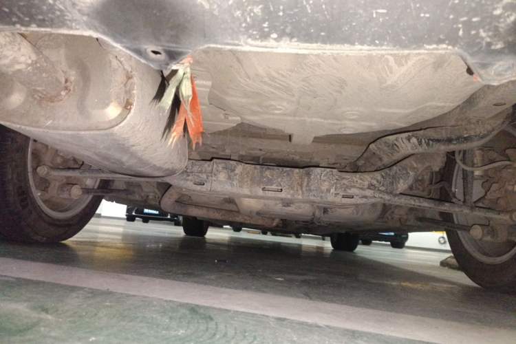 Used Buick GT 2015 15N Automatic Elite Version Chassis Rear