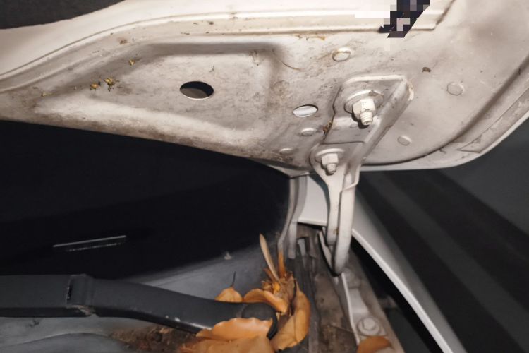 Used Buick GT 2015 15N Automatic Elite Version Engine Bay Left