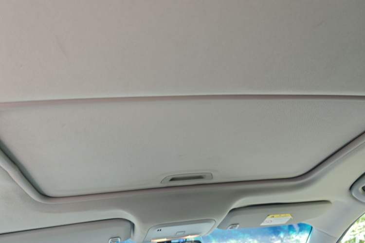 Used Buick GT 2015 15N Automatic Deluxe Edition Headliner