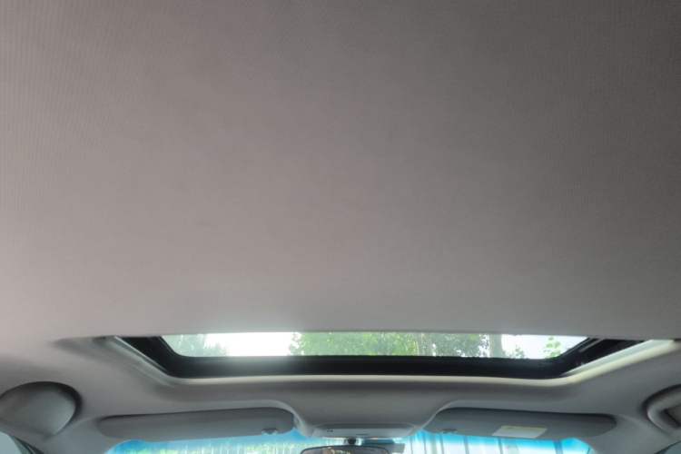 Used Buick GT 2015 15N Automatic Deluxe Edition Headliner