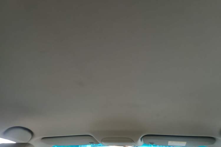 Used Buick GT 2015 15N Manual Entry-Level Trim Headliner
