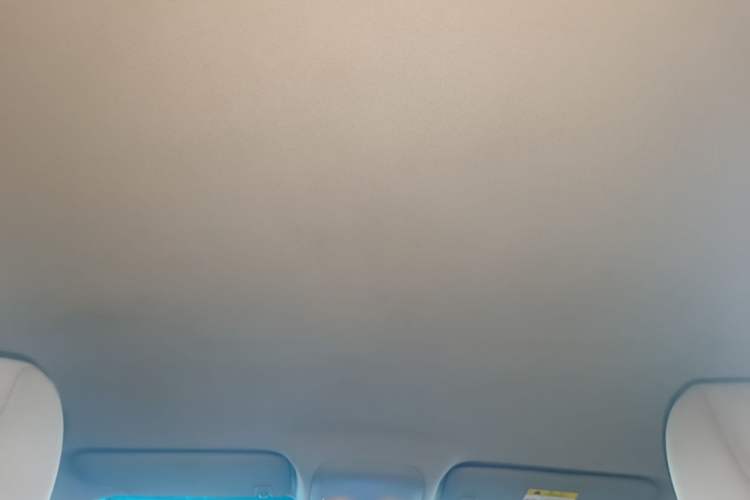 Used Buick GT 2015 15N Automatic Entry-Level Trim Headliner
