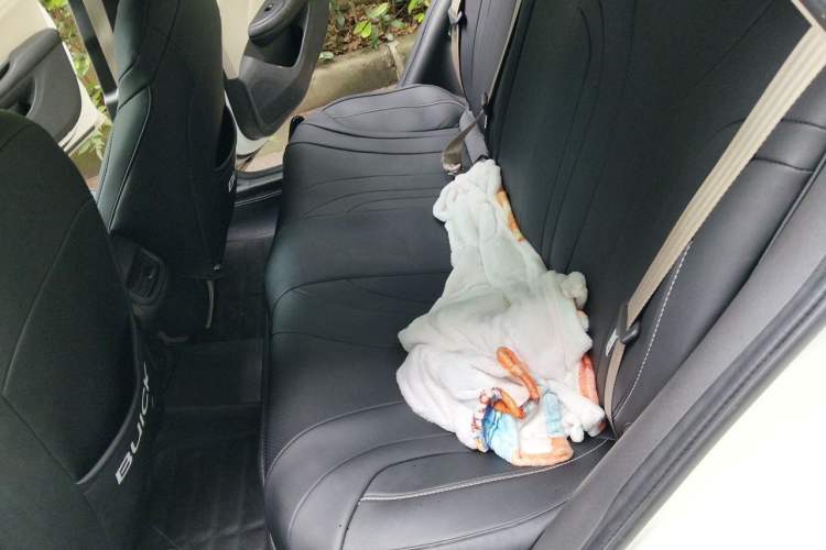 Used Buick GT 2015 15N Manual Elite Edition Left Rear Seat