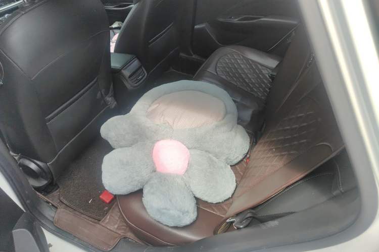 Used Buick GT 2015 18T Dual-Clutch Luxury Model Left Rear Seat