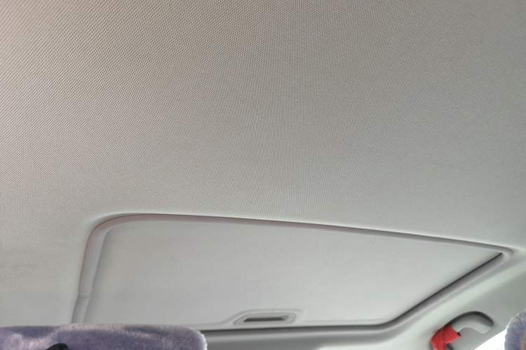 Used Buick GT 2016 15N Automatic Elite Edition Headliner