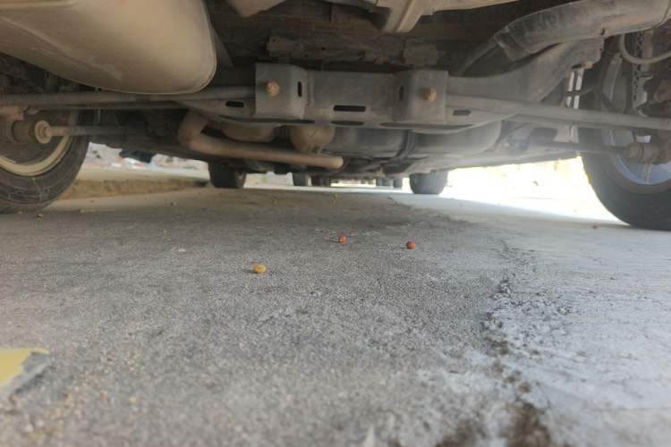 Used Buick GT 2016 18T Dual-Clutch Elite Model Chassis Rear