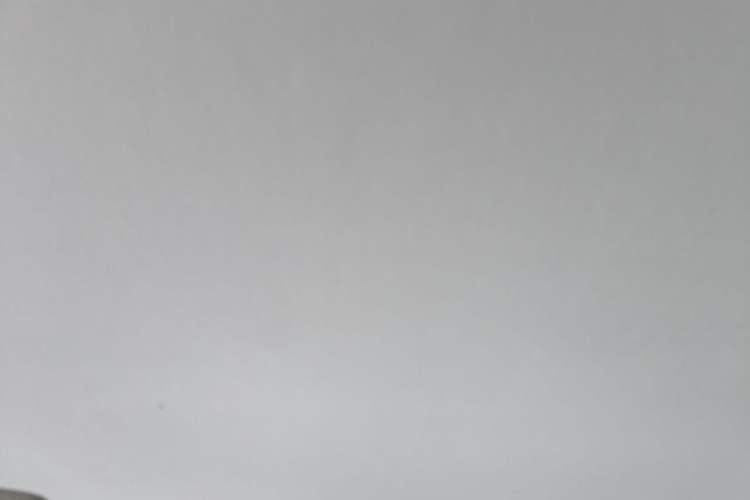 Used Buick GT 2016 15N Automatic Entry-Level Trim Headliner