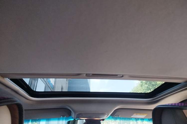 Used Buick GT 2016 15N Automatic Elite Edition Headliner