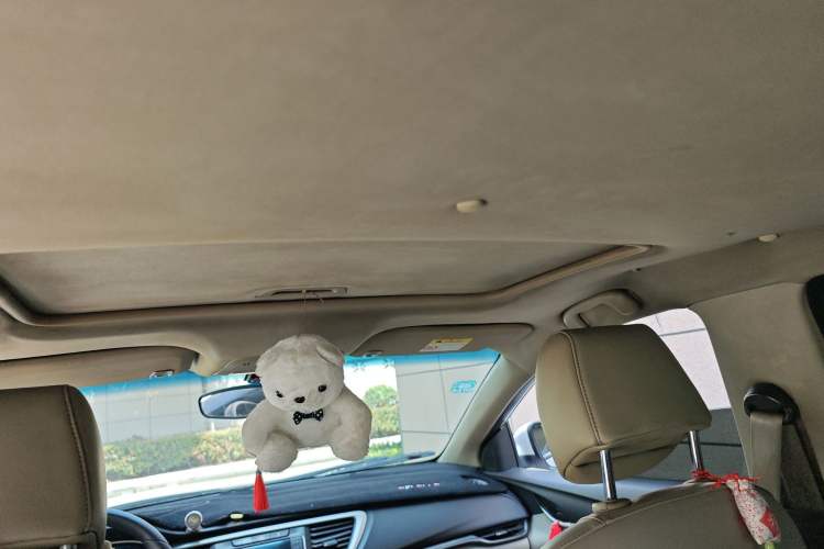 Used Buick GT 2016 15N Manual Elite Edition Headliner