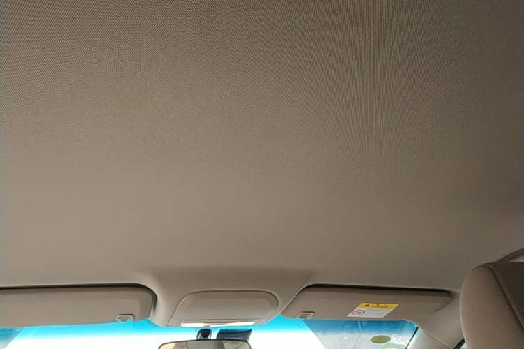 Used Buick GT 2016 15N Automatic Entry-Level Trim Headliner