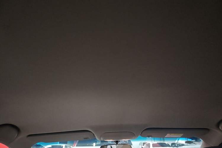 Used Buick GT 2017 15N Automatic Entry-Level Trim Headliner