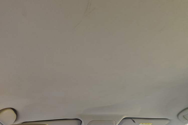 Used Buick GT 2017 15N Automatic Entry-Level Trim Headliner