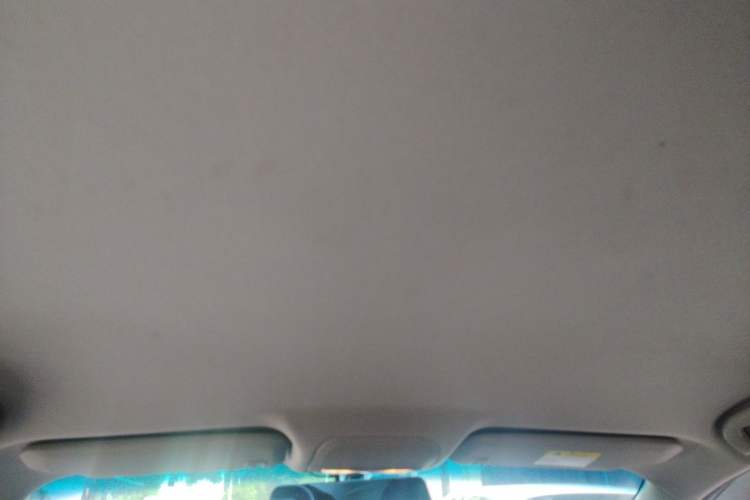 Used Buick GT 2017 15N Automatic Entry-Level Trim Headliner