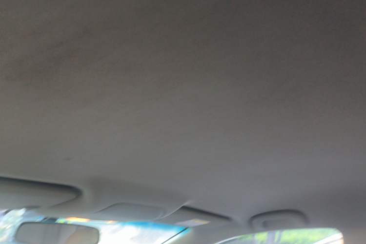 Used Buick GT 2017 15N Automatic Entry-Level Trim Headliner