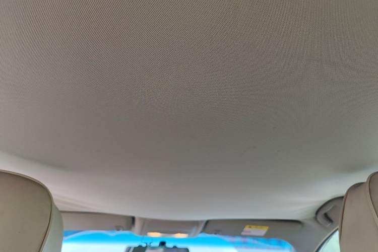 Used Buick GT 2017 15N Automatic Entry-Level Trim Headliner