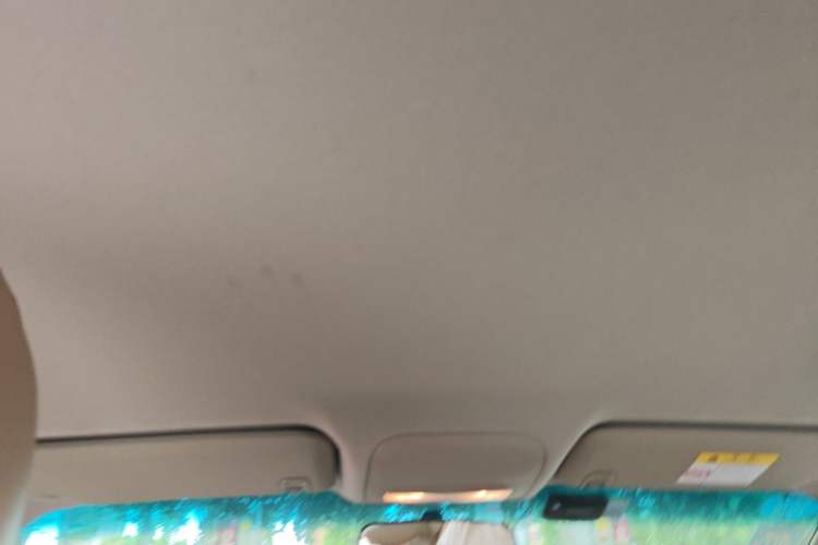 Used Buick GT 2017 15N Automatic Entry-Level Trim Headliner