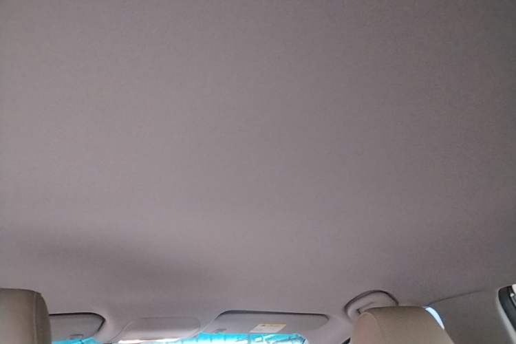 Used Buick GT 2017 15N Automatic Entry-Level Trim Headliner