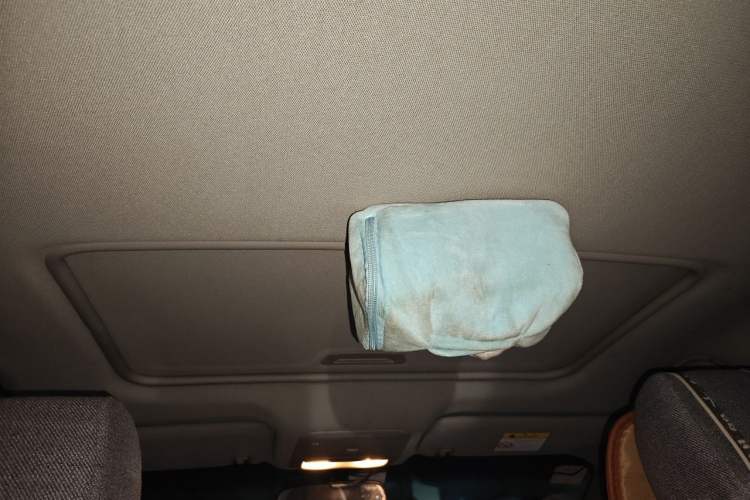 Used Buick GT 2017 15N Manual Elite Version Headliner