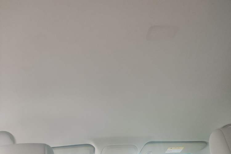 Used Buick GT 2017 15N Automatic Entry-Level Trim Headliner