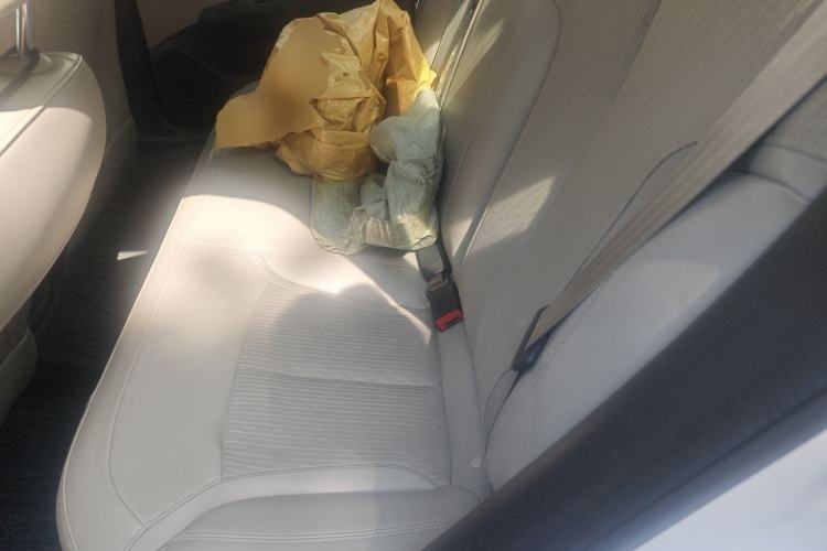 Used Buick GT 2017 15N Automatic Elite Version Left Rear Seat