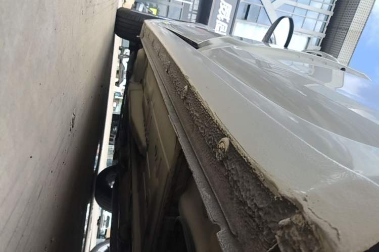 Used Buick GT 2017 15N Automatic Elite Version Left Side Sill