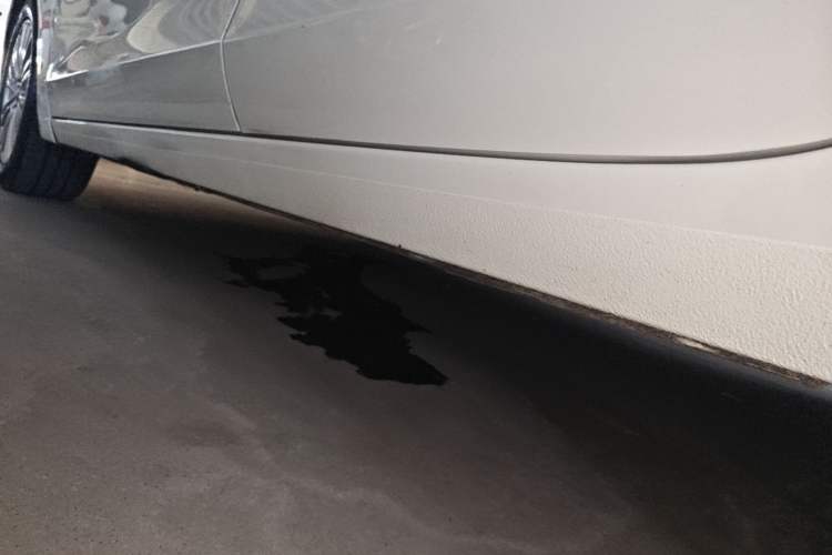 Used Buick GT 2017 15N Automatic Elite Version Left Side Sill