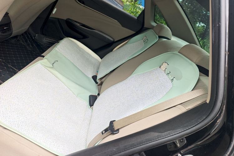 Used Buick GT 2018 15T Dual-Clutch Advanced Model China V Standard Left Rear Seat