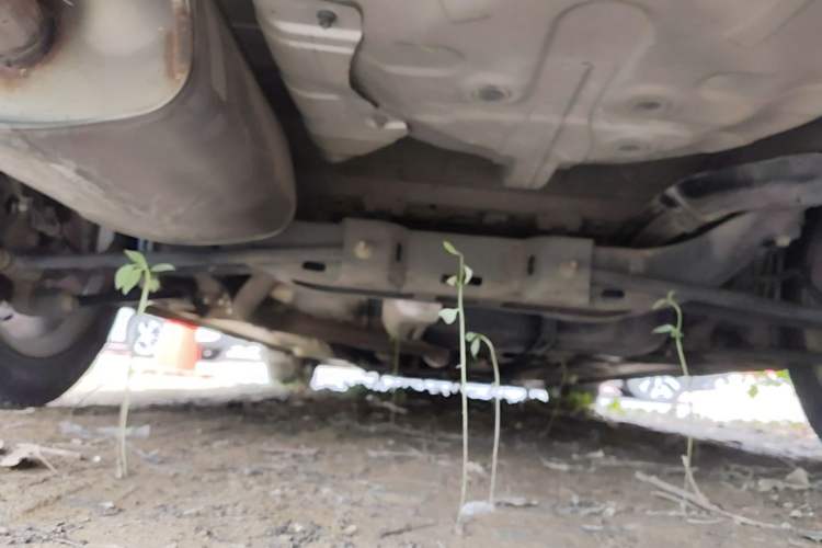 Used Buick GT 2018 15T Dual-Clutch Elite Model China V Standard Chassis Rear