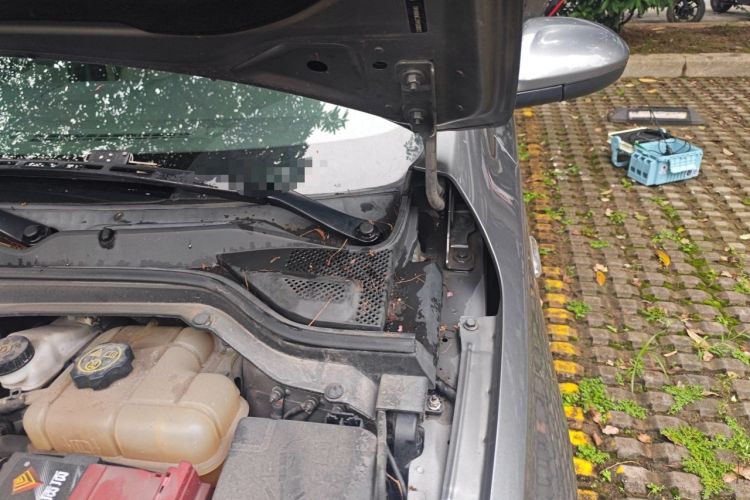 Used Buick GT 2018 15T Manual Elite Version China V Standard Engine Bay Left