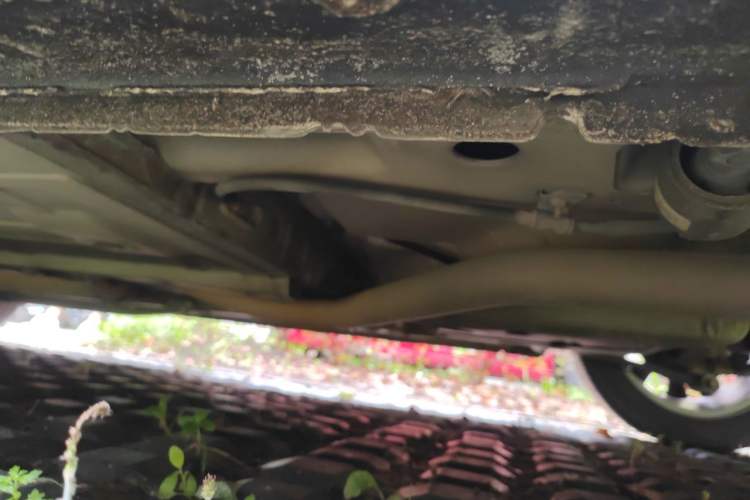 Used Buick GT 2018 18T Automatic Elite Model Chassis Rear Left