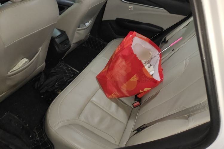 Used Buick GT 2018 15T Dual-Clutch Elite Model China V Standard Left Rear Seat