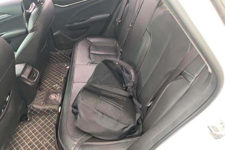 Used Buick GT 2018 18T Automatic Elite Model Left Rear Seat