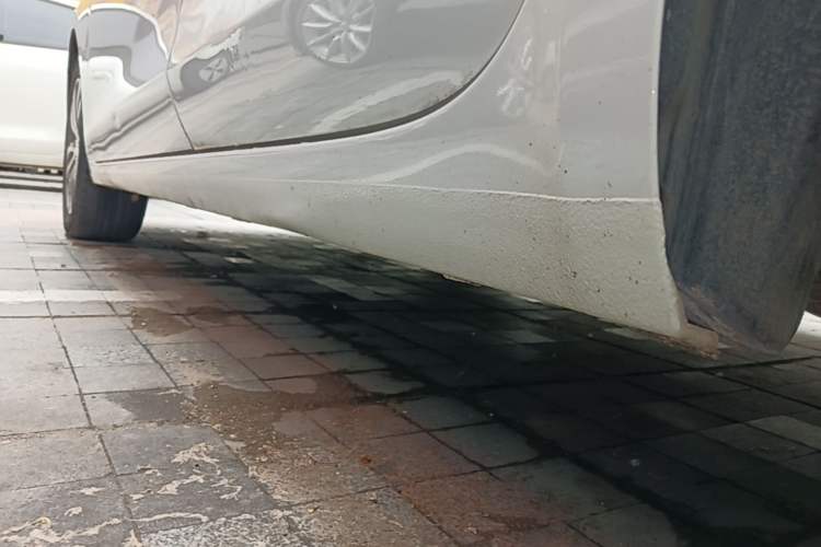 Used Buick GT 2018 18T Automatic Elite Model Left Side Sill
