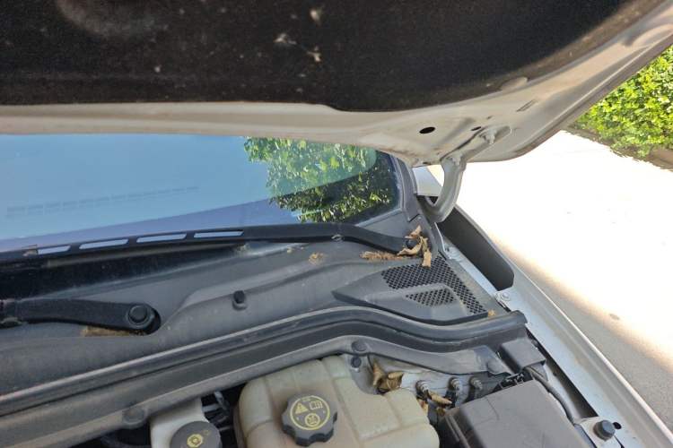 Used Buick GT 2019 15T Dual-Clutch Advanced Version China VI Standard Engine Bay Left