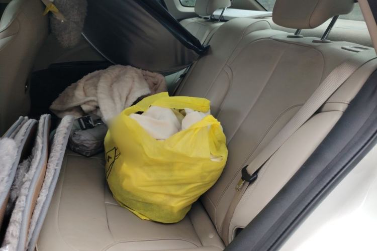 Used Buick GT 2019 15T Dual-Clutch Connected Elite Model China VI Left Rear Seat