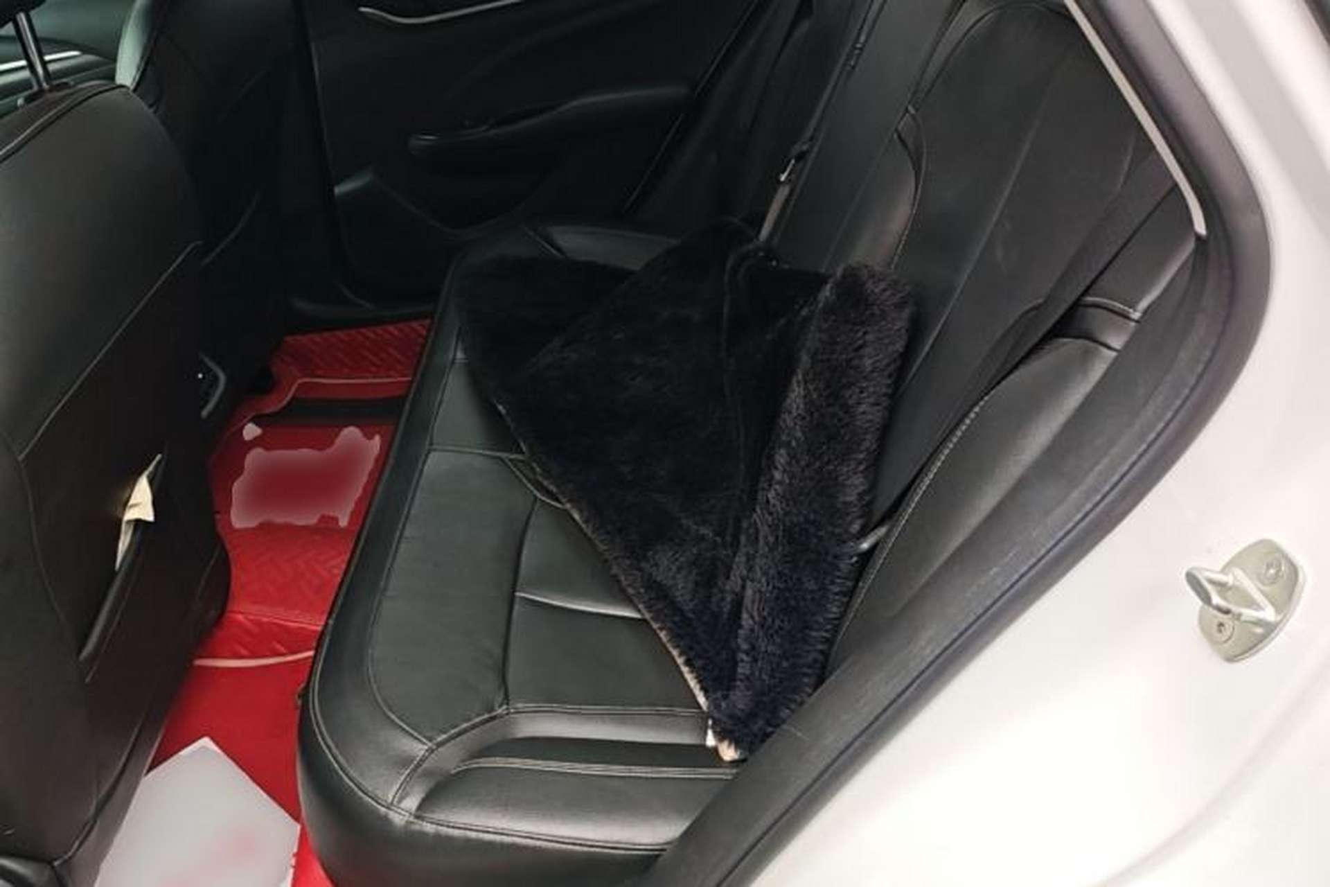 Used Buick GT 2019 18T Automatic Connected Elite Model China VI Standard Left Rear Seat